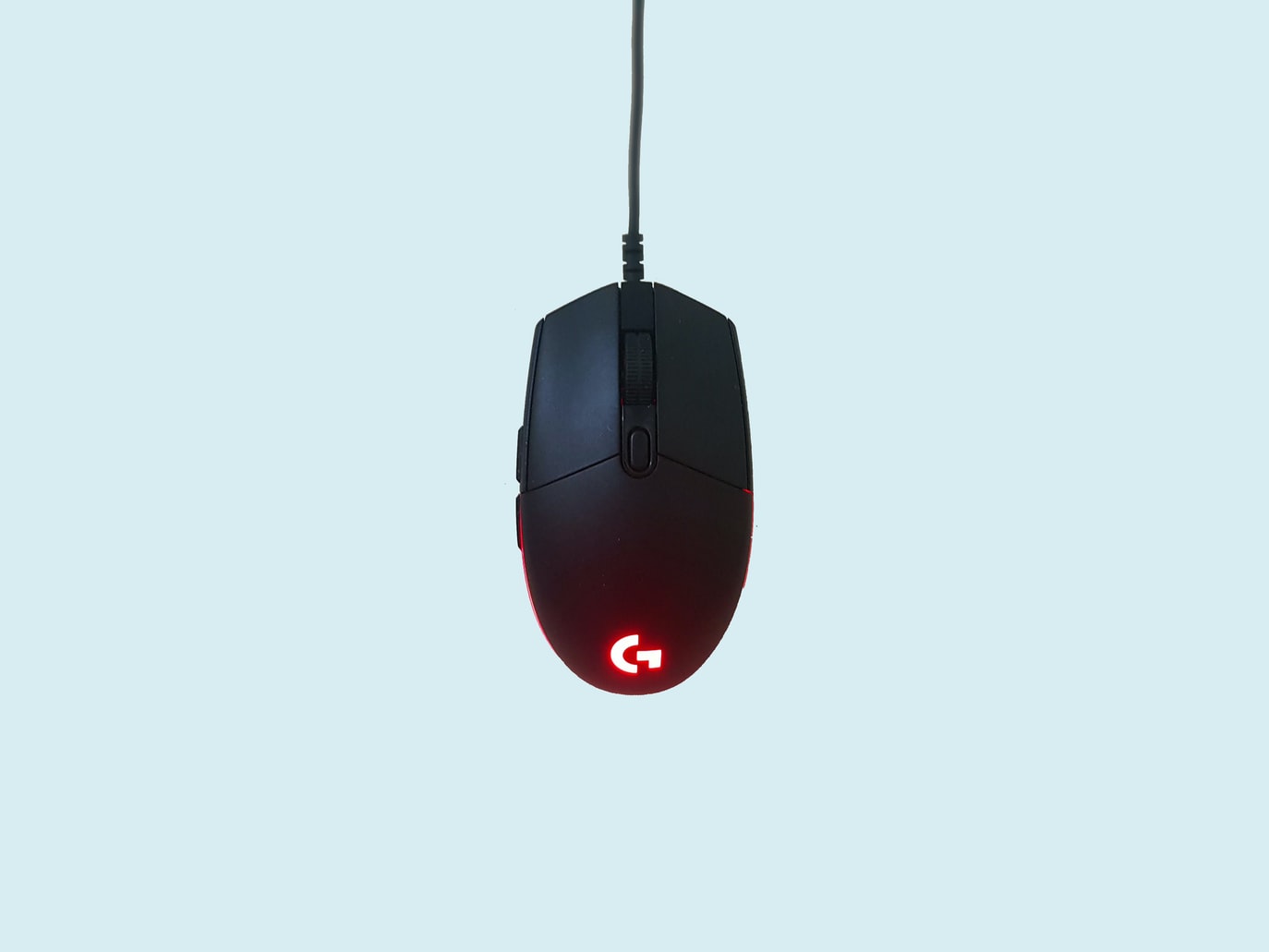 mouse